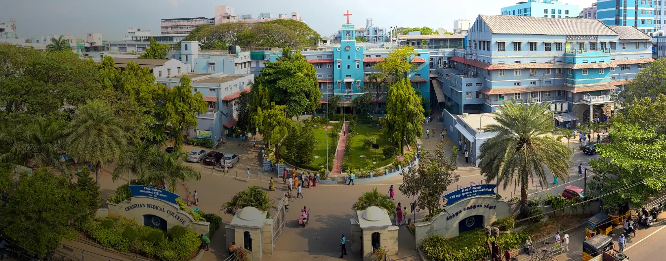 This year, we celebrate